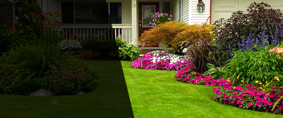 Darby Landscapers