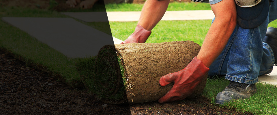 Darby Landscapers